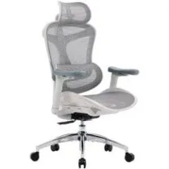 Sihoo DORO C300L Mesh biały