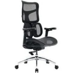 Sihoo DORO S100 Mesh czarny