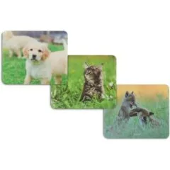 Hama Animal