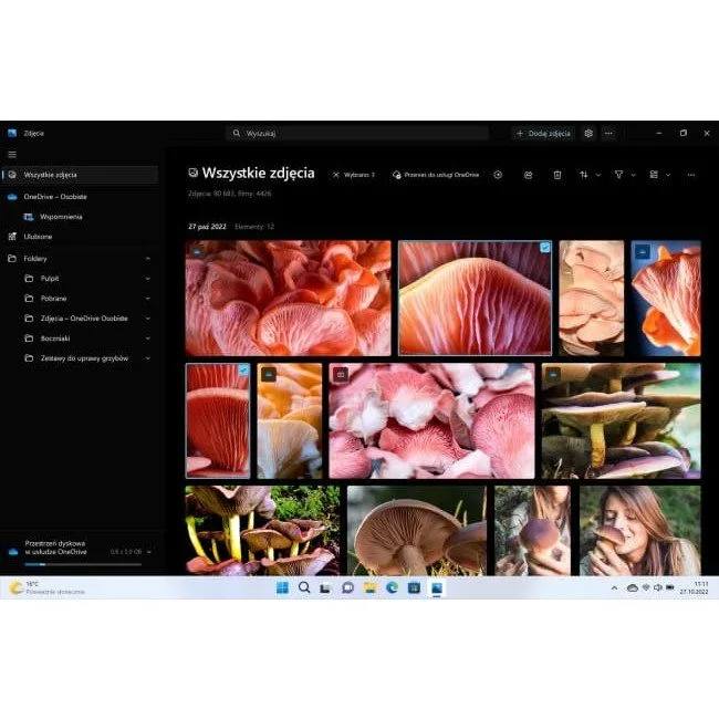 Windows 11 Home BOX USB PL — image 10