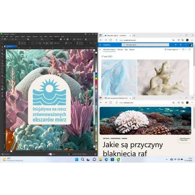 Windows 11 Home BOX USB PL — image 3