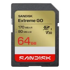 SanDisk Extreme GO