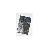 Aktenhülle A4 glasklar 100er — image 3
