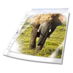 Prospekthüllen DIN A4 0.06 mm transparent
