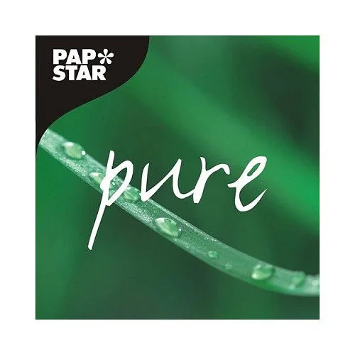 PAPSTAR Einweg-Rührstäbchen pure braun — image 3
