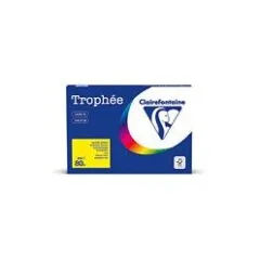 Clairefontaine Kopierpapier Trophée hellgrün DIN A4 80 g/qm 500 Blatt