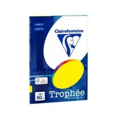 Clairefontaine Kopierpapier Trophée hellgrün DIN A4 80 g/qm 100 Blatt