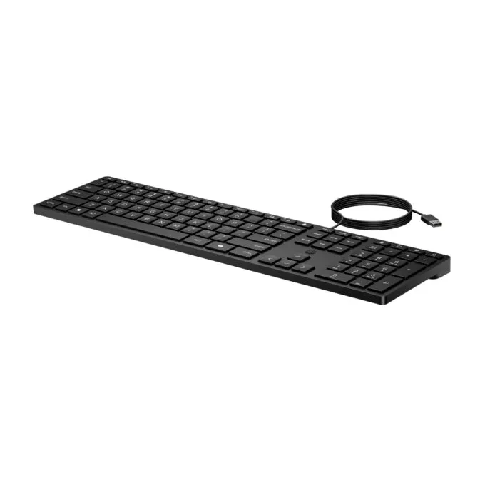 HP Desktop 320K - Tastatur - USB - QWERTZ - Schweizerisch - Smart Buy — image 9