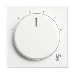BUSCH JAEGER 1794 R-884 1794 R-884 Zentralscheibe Temperatur, rund
