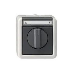 GIRA 015430 SchalterTaster Jalousie 1p WG Aufputz grau