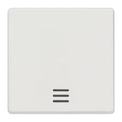 Siemens 5TG6200 DELTA i-system Wippe m.Fenster 55x55mm titanwei