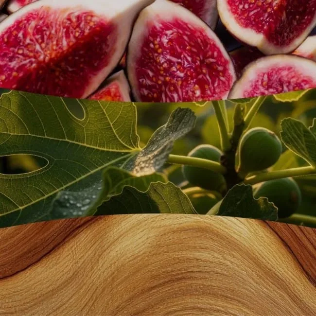 WoodWick Verdant Fig 610g — image 4